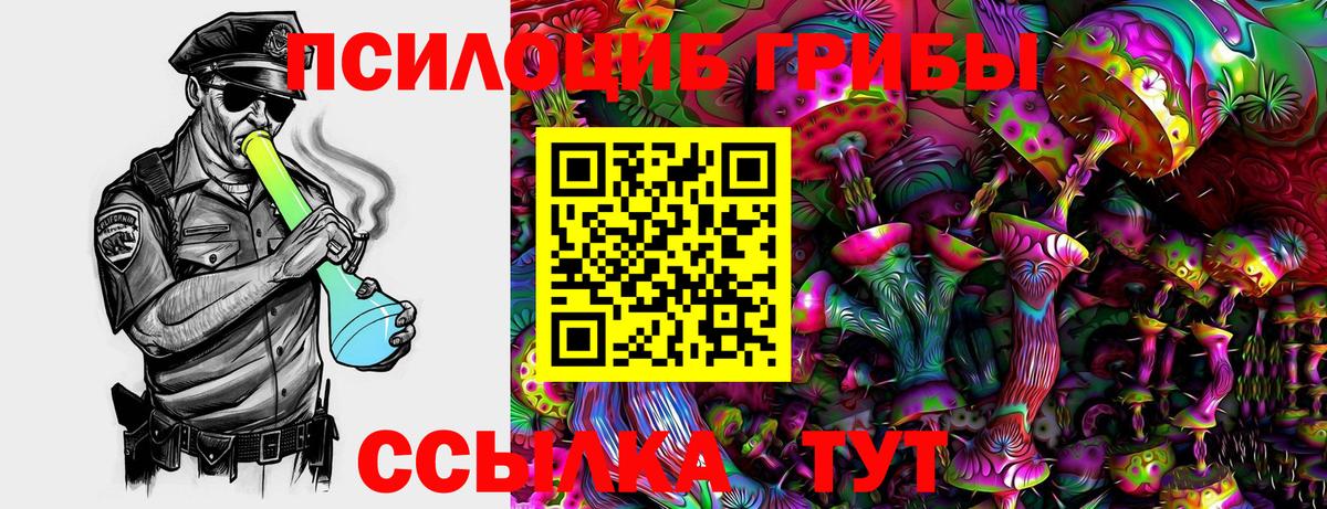 Псилоцибиновые грибы ЛСД Новозыбков