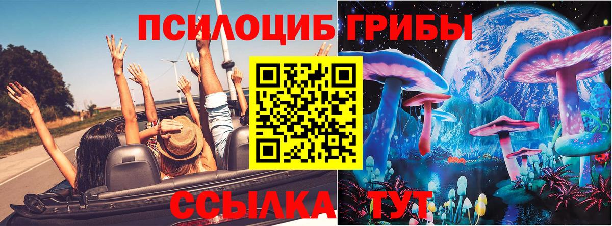 Псилоцибиновые грибы мицелий  Галлюциногенные грибы мицелий  Вход с VPN  Новозыбков 